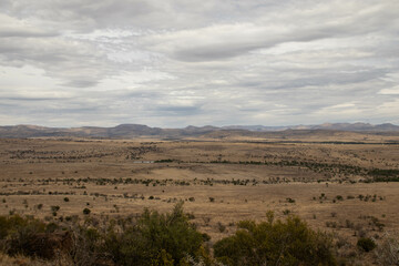 Fototapeta premium Landschaft im Mountain Zebra Nationalpark in Südafrika