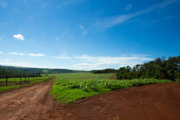 Estradas no meio do mato
