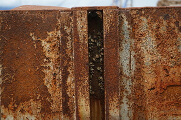 rusty steel in a shipyard