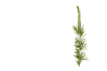 Naklejka premium Rama de abeto sobre un fondo blanco liso y aislado. Vista superior. Copy space