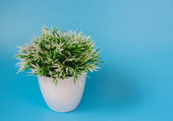 artificial plant on a blue background