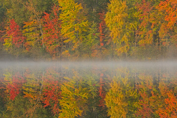 Fototapeta na wymiar Foggy autumn landscape of the shoreline of McDonald Lake with mirrored reflections in calm water, Yankee Springs State Park, Michigan, USA