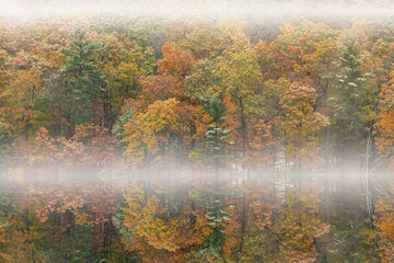 Foggy autumn landscape of the shoreline of Hall Lake flocked with snow and with mirrored refections in calm water, Yankee Springs State Park, Michigan, USA