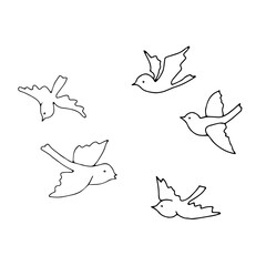 Hand drawn black vector illustration of a group of sparrows is flying on a white background
