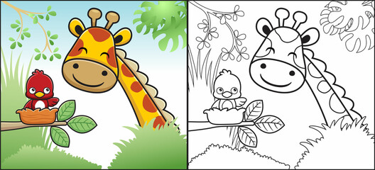 Coloring book or page of giraffe cartoon in jungle with little bird in its nest