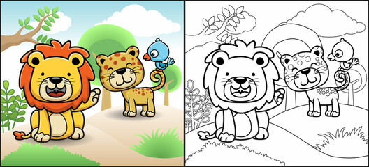 Coloring book or page of funny animals cartoon. A little bird perch on leopard's tail meanwhile lion laughing