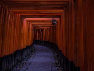 Fototapeta premium 京都、伏見稲荷の千本鳥居。Kyoto, Japan. Senbon Torii in the mysterious space of Fushimi Inari.