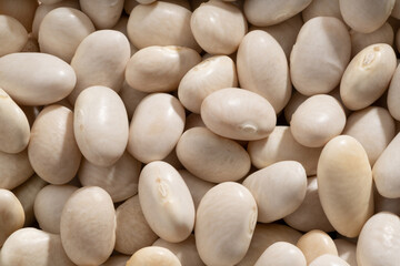 Detailed and large close up shot of navy beans.