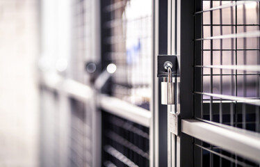 Storage door with lock in basement of condo apartment building. Metal cage locker in cellar or...
