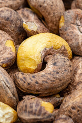Close-up shelled cashews. food background. Snack Fresh Nuts.