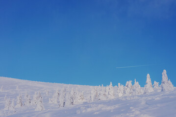 Fototapeta na wymiar Plane over a snow-covered mountain slope. Winter mountain landscape. Snow-covered trees on a background of blue sky.