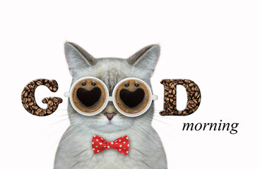 An ashen cat in a bow tie wears cup coffee shaped glasses. Good morning. White background. Isolated.