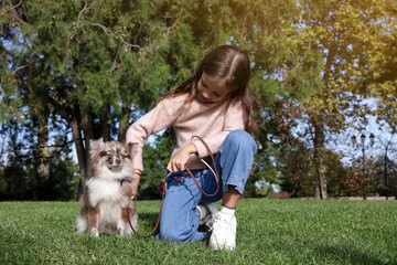 Naklejka na ściany i meble Little girl with her cute dog in park. Autumn walk