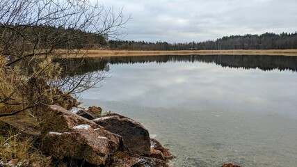 lake in the forest