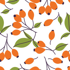 Vector illustration branch of rose hip with berries leaves. Seamless pattern with fruits of dogrose plant.