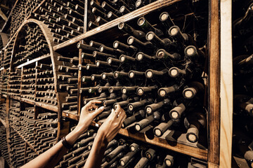 The sommelier's hands choose a bottle of luxury wine in the old cellar of a restaurant or winery
