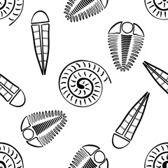 Ammonite trilobite haplophrentis vector seamless pattern background. Hand drawn shell cephalopod, arthropod, hyolithis ribbed fossils Extinct marine predators and filter feeders. For education