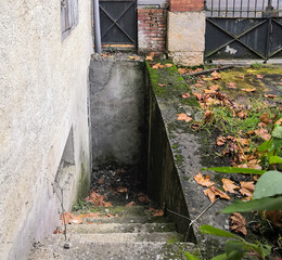 Access to the basement by a narrow staircase, covered with moss and plane tree leaves in autumn, outside