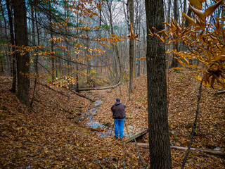 Autumn at Binghamton University Nature Preserve.  South of the University in Broome County in...