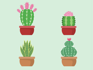 Green Cactus ,bright cacti flowers isolated on white background.design vector illustrator