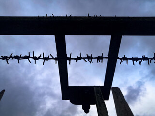 Back view, against the day, on a barbed wire as well as an ornamental wrought iron structure, the cloudy blue sky at the end of the day in the background - obrazy, fototapety, plakaty