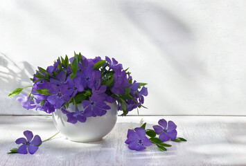 Bouquet blue violet flowers periwinkle on a white table with space for text