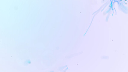 Obraz premium abstract aqua particle background, Floating blue Particles in Background
