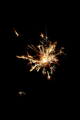 Fototapeta premium One bengal fire sparkles against the black background.