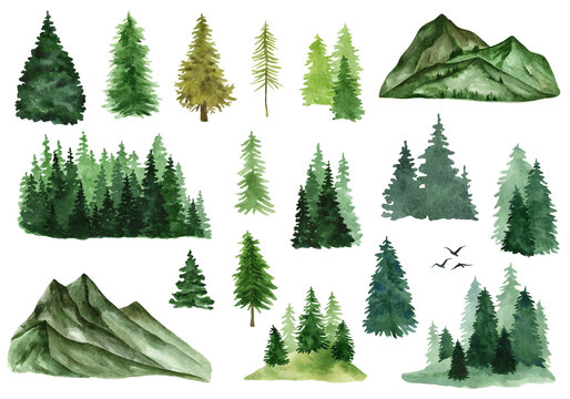 Watercolor set of coniferous trees, forest and mountains. 