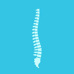 Human spine isolated. Human spine silhouette. Back ache