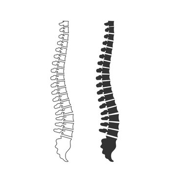 Human spine. Spine isolated silhouette. Spine pain.