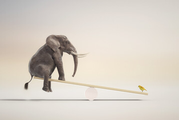 Elephant on balance with a canary.