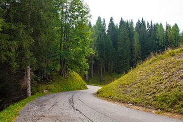 Obraz premium A road on Monte Ruke near Sauris di Sopra, Udine Province, Friuli-Venezia Giulia, north east Italy. Late September 
