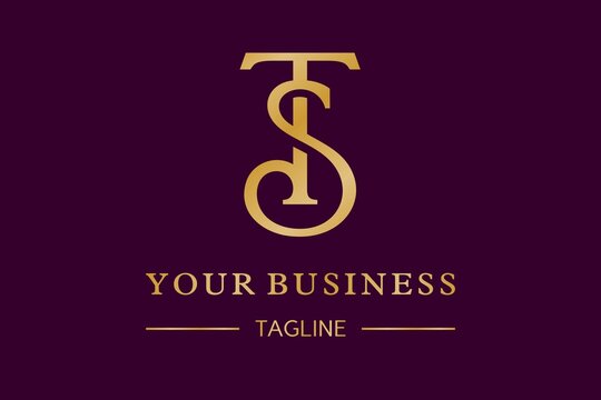 TS Luxury Logo Design