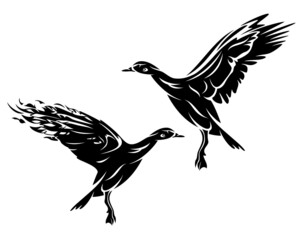 flying duck side view black and white vector outline - wild bird silhouette design set