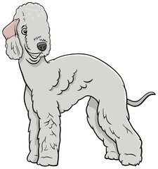 cartoon Bedlington Terrier purebred dog animal character