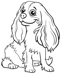 cartoon Cavalier King Charles Spaniel purebred dog coloring book page