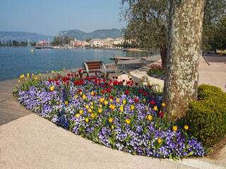 Garda lake -lake promenade in Bardolino with flower beds