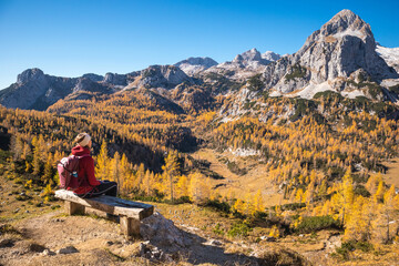 Female hiker on a bench enjoying mountain panorama view on a sunny autumn day with golden larch trees.