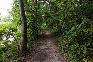 Empty Forest Hiking Trail at Little Stony Point in Cold Spring New York with Green Trees