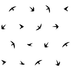 Black swifts on white background, textile pattern