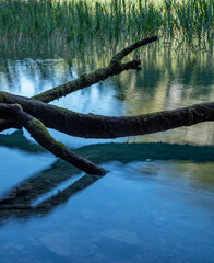 Obraz premium Plitvice Lakes National Park in Croatia