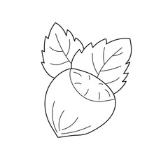 Simple coloring page. Hazelnut to be colored, the coloring book. Easy kid educational gaming and primary education of simple game level.
