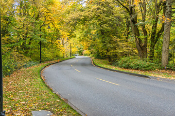 Washington Park Arboretum Autumn Road 4