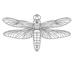 Dragonfly. Outline vector illustration for coloring book. Antistress for adults and children. Elements for print, card, posters