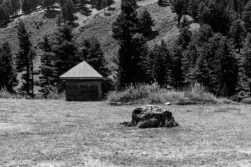 Black and White House