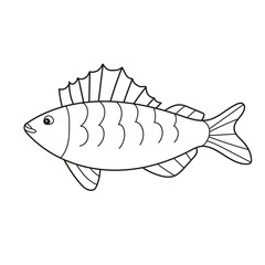 Simple coloring page. Coloring book with ruff. Vector white fish of Siberia in lines on white
