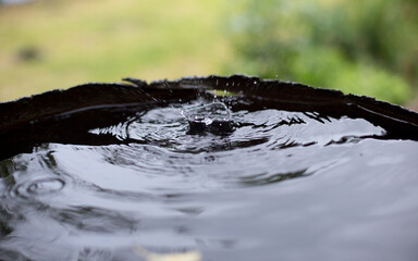 A drop of pure rainwater falling into a container