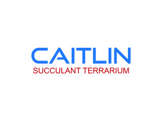 Caitlin succulant terrarium decorative lettering type design.