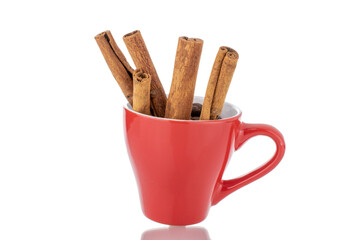 Several fragrant dry cinnamon sticks in a red cup, close-up, isolated on white.
